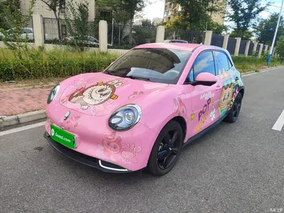 2024 Ora Good Cat 401km Honor 135kW, фото 1, лот 10330477