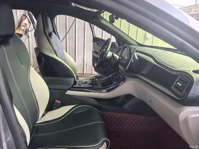 2021 BYD Qin PLUS EV 500KM Premium Model, фото 4, лот 10363374