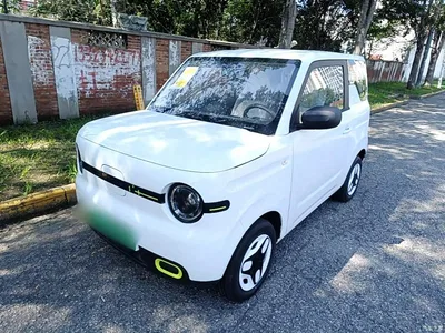2025 Geely Galaxy Panda mini 210km Vitality Bear, фото 1, лот 10433402