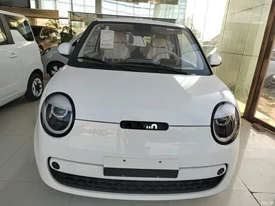 2026 Changan Qiyuan Changan Lumin Model 205km Treasure Edition, фото 3, лот 11067500