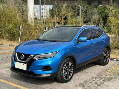 2019 Nissan Qashqai 2.0L CVT Luxury Edition, фото 1, лот 10345865