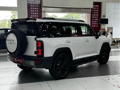 2024 Haval Meng Long NEV Hi4 145 Pro, фото 4, лот 10300327