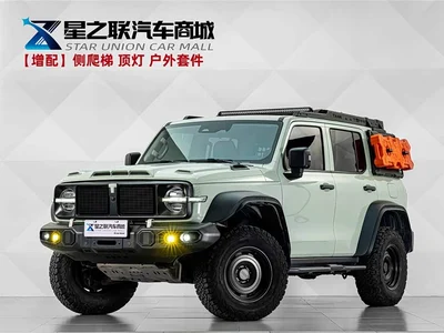 2021 Tank 300 2.0T Wind Forest Iron Cavalry, фото 1, лот 10344141