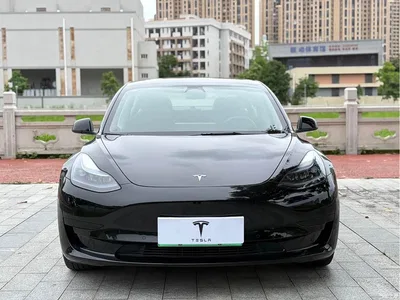2022 Tesla Model 3 Model Rear-Wheel Drive Version, фото 2, лот 10366736