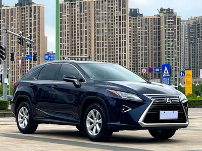 2016 Lexus RX 300 2WD Elite Edition (China V), фото 3, лот 10317057