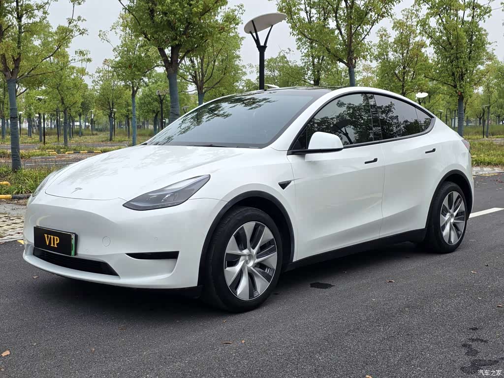 2022 Tesla Model Y Facelift Rear-Wheel Drive Version, фото 1, лот 11225175