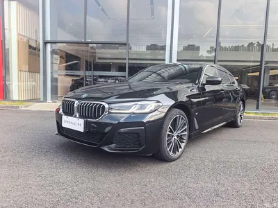 2022 BMW 5 Series 530Li Leading M Sport Package, фото 1, лот 11003297