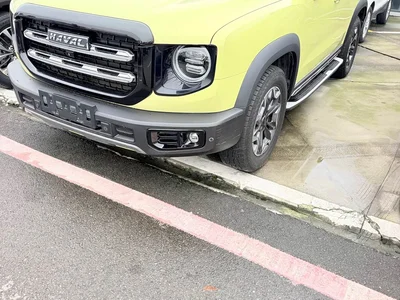 2021 Haval Big Dog 2.0T DCT 4WD Chinese Rural Dog Edition, фото 1, лот 11137256