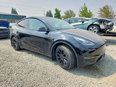 2024 TESLA MODEL Y, фото 4, лот 10852744