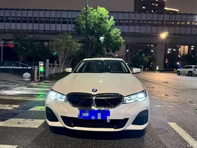 2021 BMW 3 Series 320Li M Sport Package, фото 1, лот 10906968