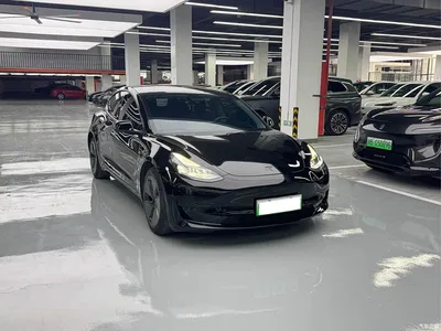 2020 Tesla Model 3 Standard Range Rear-Wheel Drive Upgrade, фото 3, лот 10346658