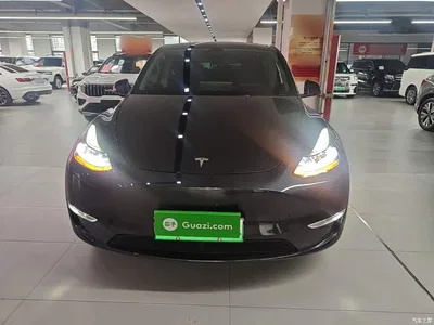2024 Tesla Model Y Long Range AWD, фото 3, лот 10369680