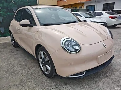 2021 Ora Good Cat 400km Standard Range Athena Edition (LFP), фото 4, лот 10613028