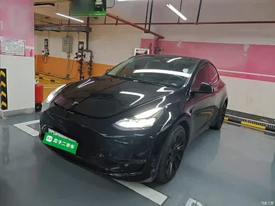2021 Tesla Model Y Standard Range Rear-Wheel Drive, фото 1, лот 10370504