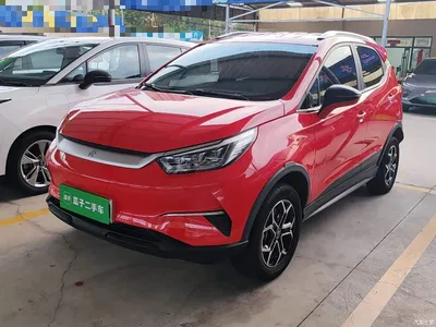 2021 BYD Yuan Pro 401KM Luxury Model, фото 1, лот 10768158