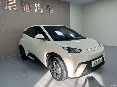 2023 BYD Seagull Flying Edition, фото 3, лот 11569582