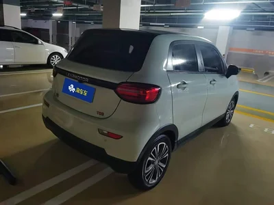 2024 Leapmotor T03 403 Comfort Edition, фото 3, лот 11484458
