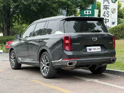 2025 GAC Trumpchi Trumpchi GS8 Pilot Series 2.0TGDI 2WD Luxury Edition 5-seater, фото 4, лот 10414792