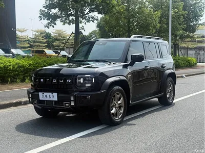 2025 Jetour Traveler 2.0TD XWD Auto Conquest, фото 1, лот 10425661