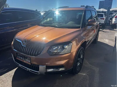 2014 Škoda Yeti 1.8TSI DSG Off-Road Edition, фото 1, лот 10357634
