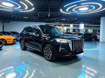 2023 Hongqi HS5 2.0T Flag Enjoy Pro Edition, фото 3, лот 10304244