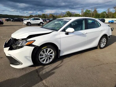 2024 TOYOTA CAMRY LE, фото 1, лот 11559386