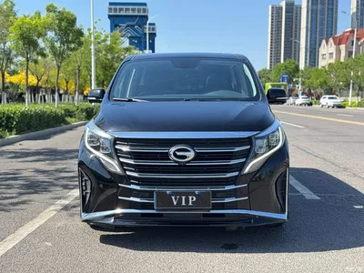 2021 GAC Trumpchi Trumpchi M8 Leading Show Series 390T Ultimate Edition, фото 3, лот 10419696