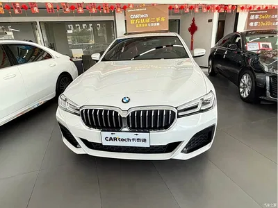 2021 BMW 5 Series 530Li Leading M Sport Package, фото 2, лот 11219055