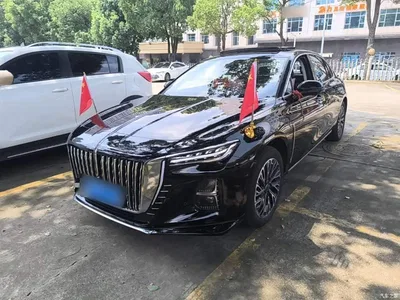 2025 Hongqi H5 2.0T Automatic Flag Celebration 500,000 Units Anniversary Edition, фото 2, лот 10289199