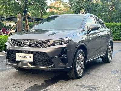 2020 GAC Trumpchi Trumpchi GS4 Coupe 270T Automatic Premium Edition, фото 1, лот 10416518