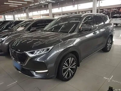 2021 Oshan X7 1.5T Automatic Premium, фото 1, лот 11501882