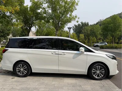 2021 Buick GL8 ES Landlord 653T Comfort, фото 4, лот 10404773