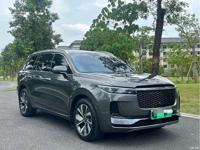 2021 Li Auto Li ONE Extended Range 6-Seater, фото 3, лот 10825981