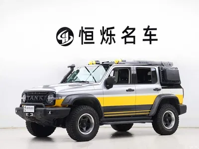 2022 Tank 300 2.0T Border Limited Edition, фото 1, лот 10346028