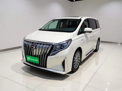 2021 GAC Trumpchi Trumpchi M8 Master Series 390T Ultimate Edition, фото 1, лот 10417369