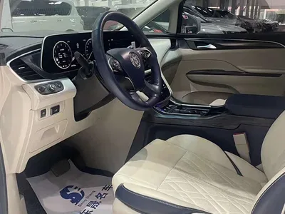 2020 Buick GL8 Model ES Landglory 653T Comfort, фото 4, лот 10257288