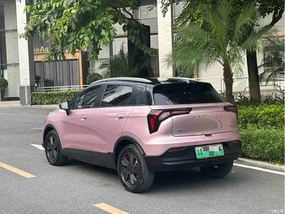 2023 Geely E Firefly 401KM Super Fan Special Edition 5-Seater, фото 3, лот 11157014