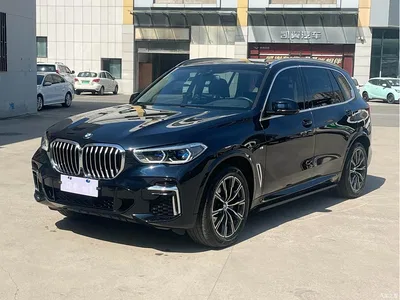 2023 BMW X5 xDrive 30Li Premium M Sport Package, фото 1, лот 10462814