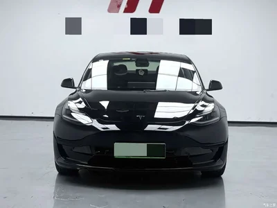 2023 Tesla Model 3 Rear-Wheel Drive, фото 2, лот 10358857