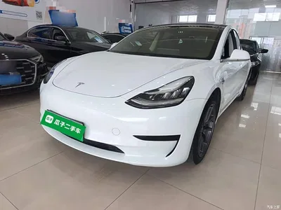 2020 Tesla Model 3 Facelift Standard Range RWD Upgrade, фото 1, лот 10369389