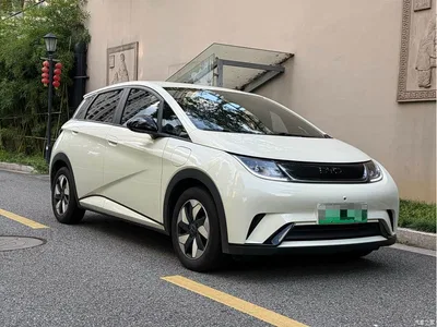 2025 BYD Dolphin 420km Freedom Edition, фото 3, лот 10252602