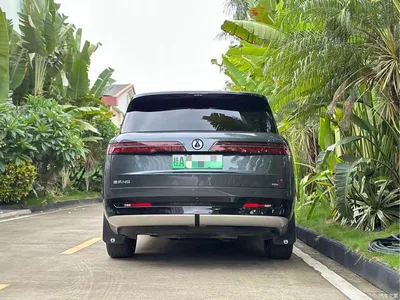 2025 Denza N9 Model Prestige Edition, фото 4, лот 10345819