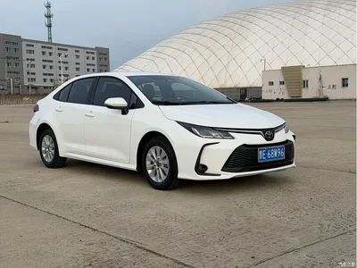 2023 Toyota Corolla 1.5L Pioneer Edition, фото 3, лот 10273535