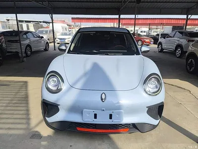2022 Ora Good Cat GT Mulan Edition 480km Long Range, фото 3, лот 10836514
