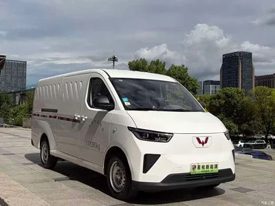 2024 Wuling Motors Wuling Yangguang 230km Utility Enclosed 60kW, фото 3, лот 11167514