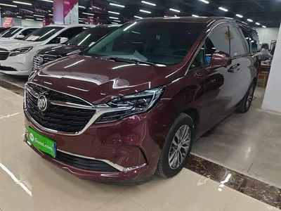 2022 Buick GL8 ES Landmark 653T Comfort, фото 1, лот 10262352