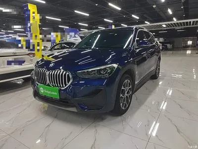 2020 BMW X1 sDrive25Li Leading Model, фото 2, лот 10812934