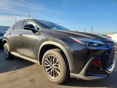 2024 LEXUS NX 350 BASE, фото 4, лот 10900695