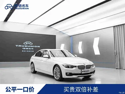 2019 BMW 3 Series 320Li Fashion Type, фото 1, лот 11220221
