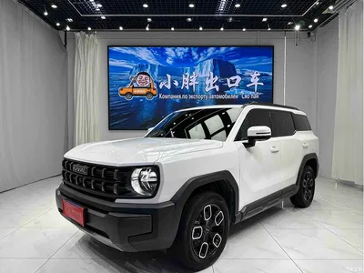 2022 Haval Cool Dog Model 1.5T DCT FWD Trendy Cool Edition, фото 1, лот 11144853